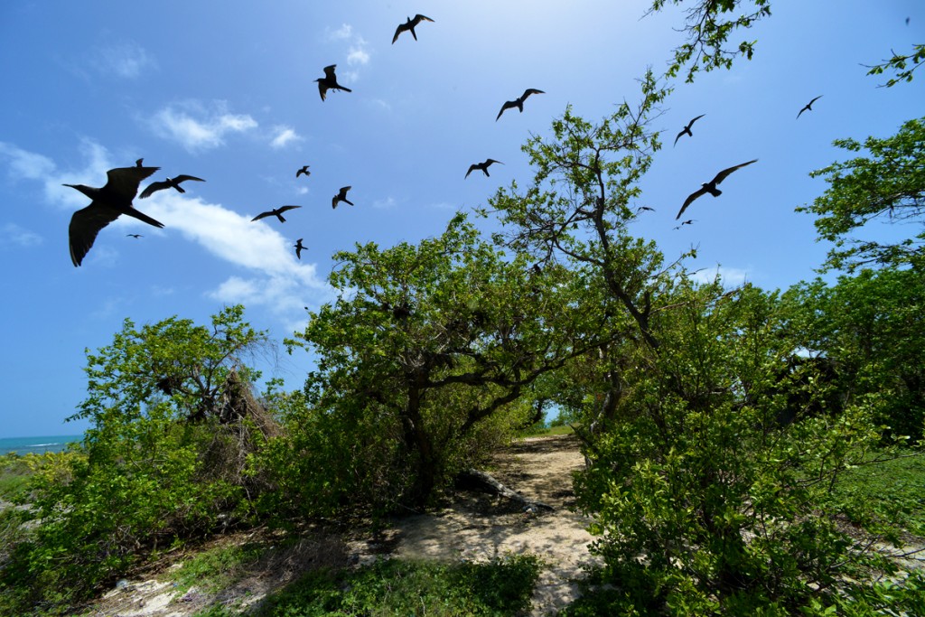 Little Half Moon Cay, Jamaica