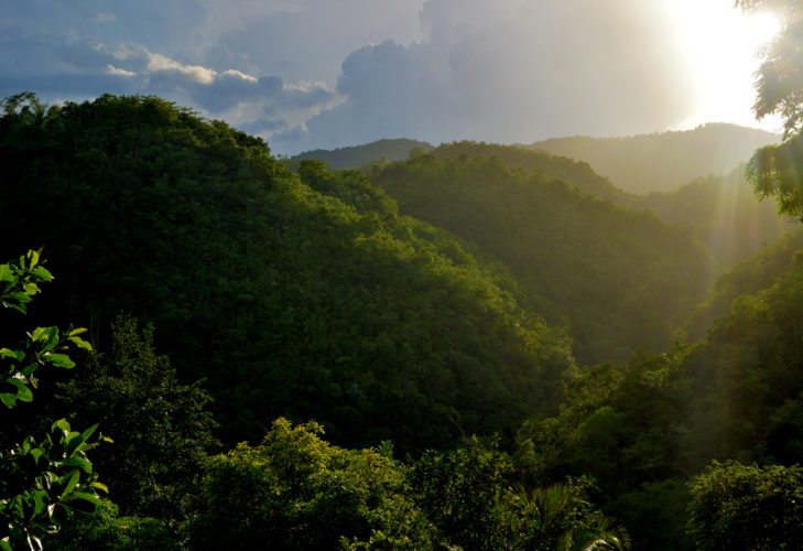 How Was The Cockpit Country In Jamaica Formed