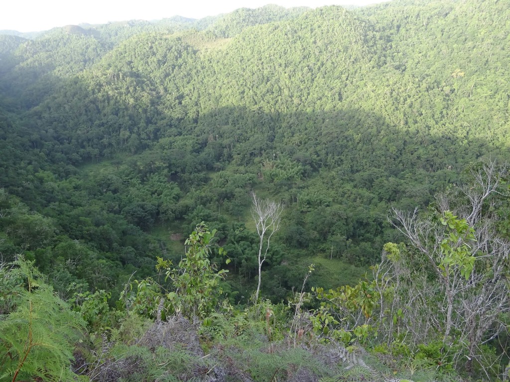 View of the valley from BBQ Bottom Road