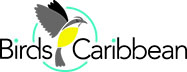 BirdsCaribbean Logo