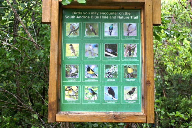 Blue Hole Signage on the South Andros Trail (Photo by Linda Huber)