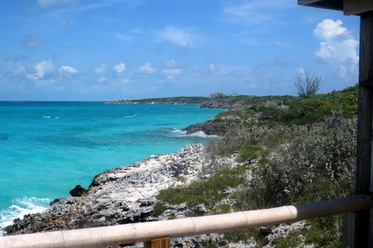 Typical Shoreline in the Exuma Cays (Photo by Carolyn Wardle)