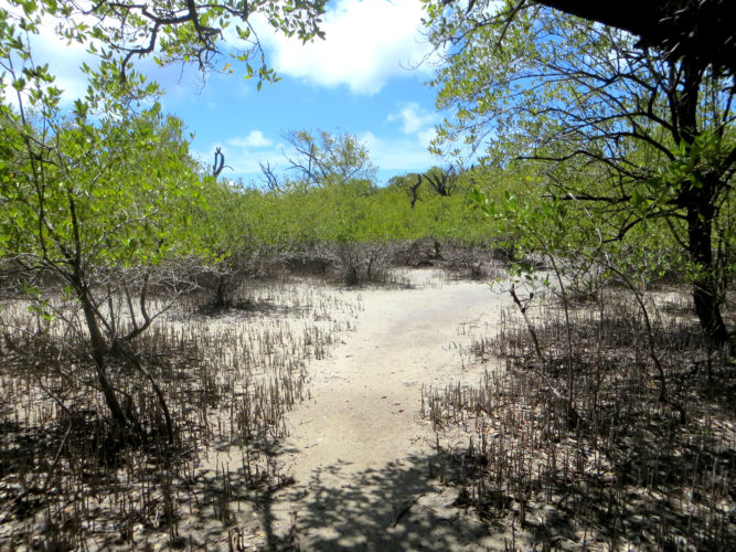 Lagoon Trail (Photo by Aly DeGraff)