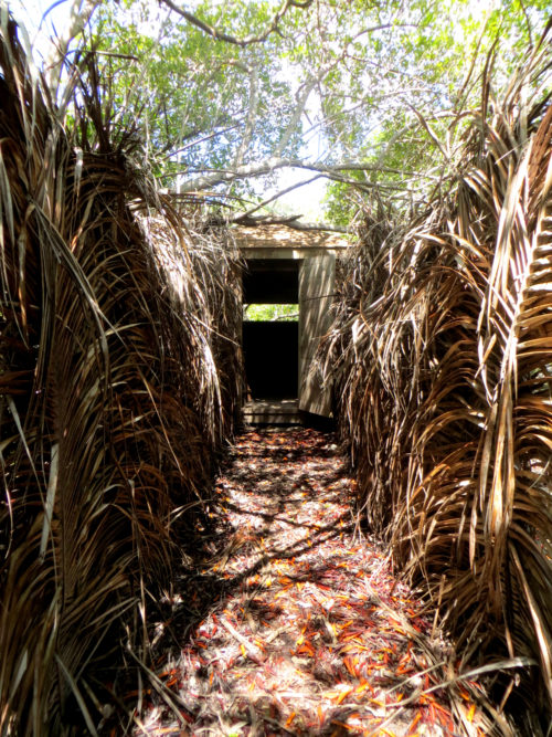 Bird Blind (Photo by Aly DeGraff)