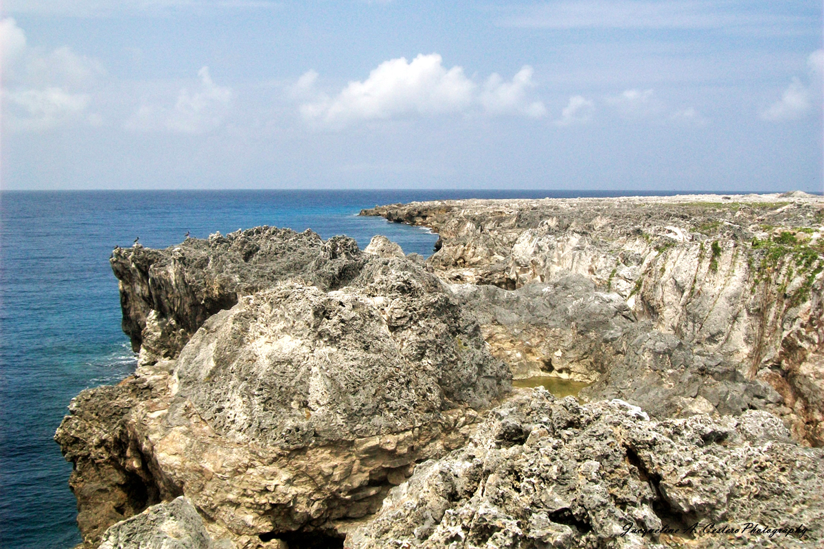 Sombrero - Caribbean Birding Trail