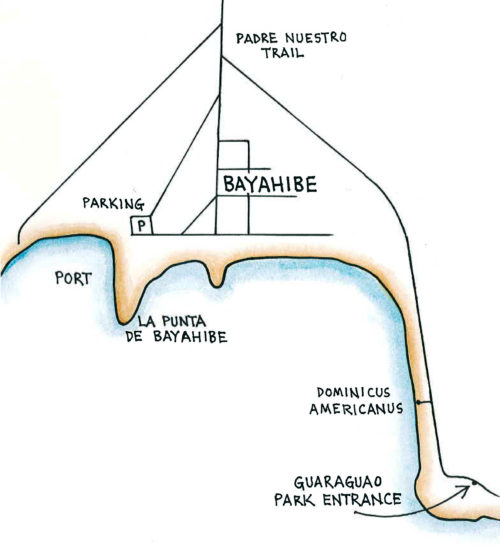 Bayahibe (Map by Dana Gardner)