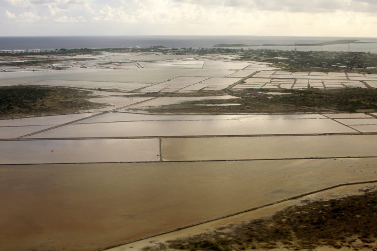 Aerial View of the Main Salina from the Northeast, Cockburn Harbour is on the far side, with Long Cay beyond (Photo by Dr. Mike Pienkowski)