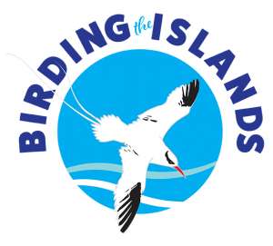 bird watching tours trinidad