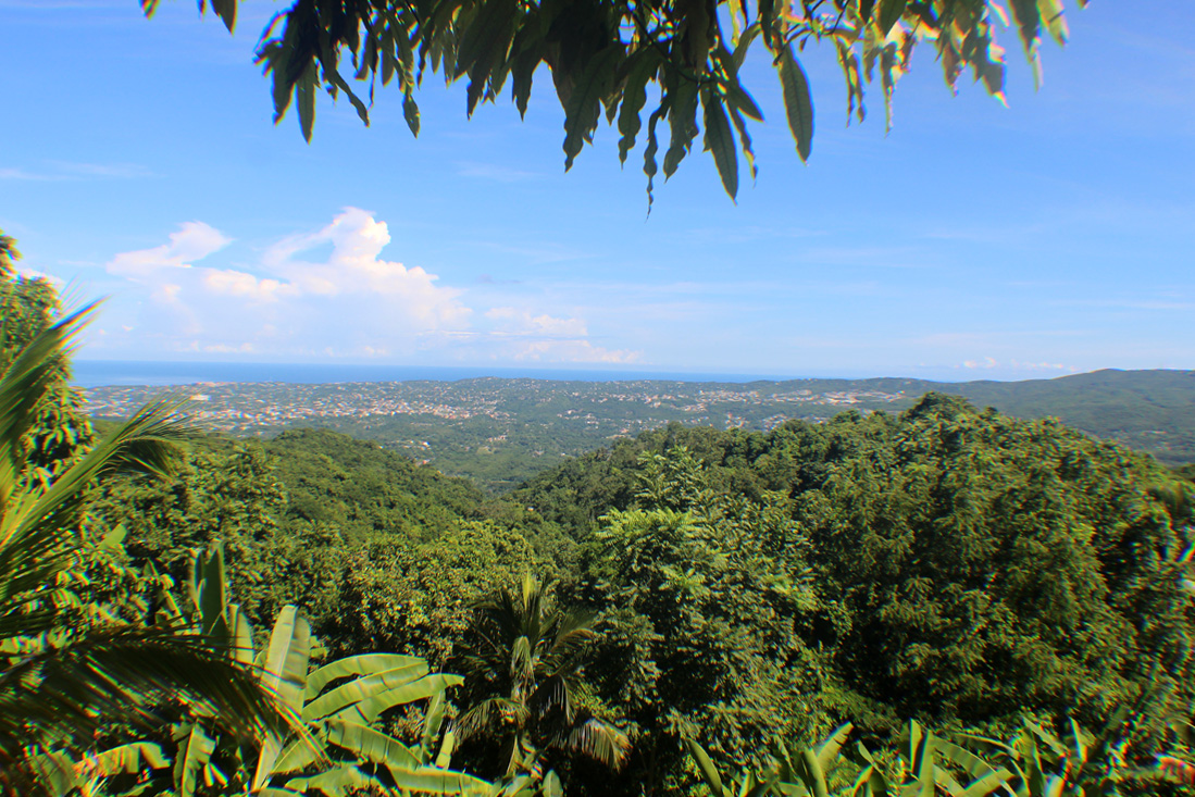View from Ahhh…Ras Natango Garden