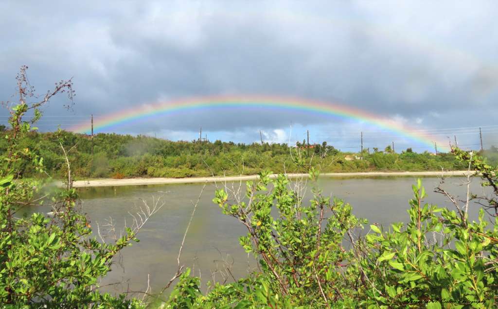 Rainbow over Meads Bay Pond (Western End)