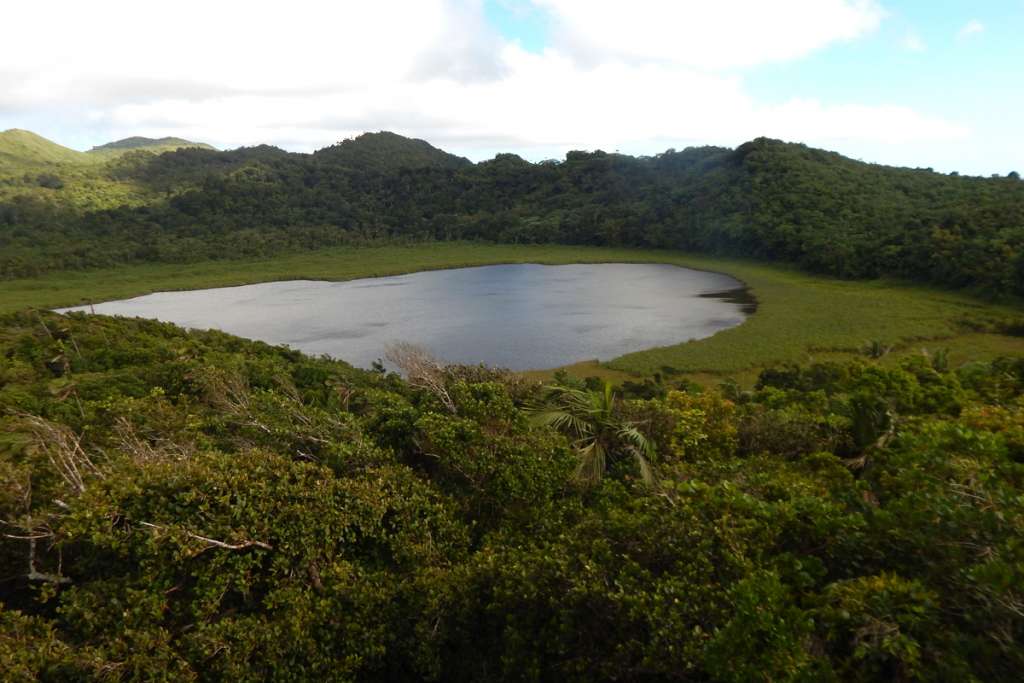 Aerial Photo of Grand Etang 