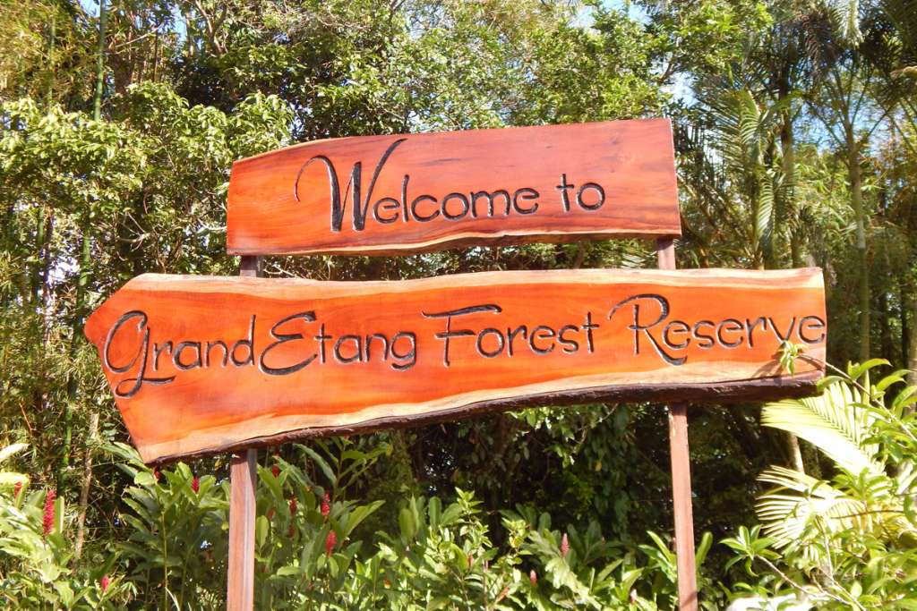 Grand Etang Entrance Sign 